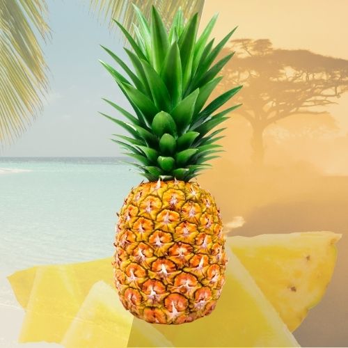Ananas Extra Sweet Costa Rica – Fraîcheur tropicale & saveur intense