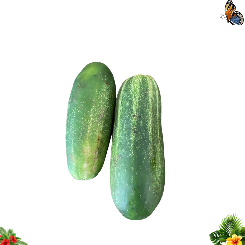Concombre de Guadeloupe