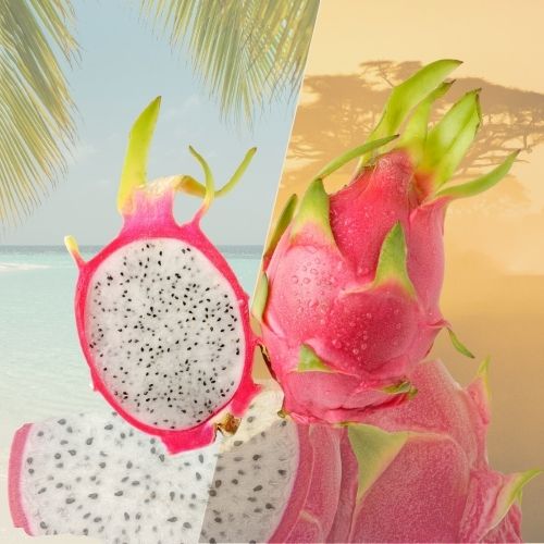 Fruit du dragon (Pitaya) – Pièce fraîche, chair blanche