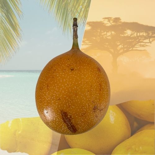 Grenadille fraîche – Saveur exotique et parfum intense