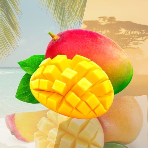 Mangue Kent – Chair fondante, très sucrée (pièce)