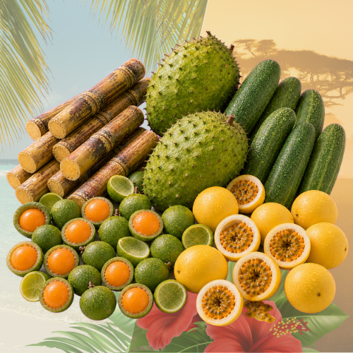 Box Fruits Peyi Premium — 8 kg de saison