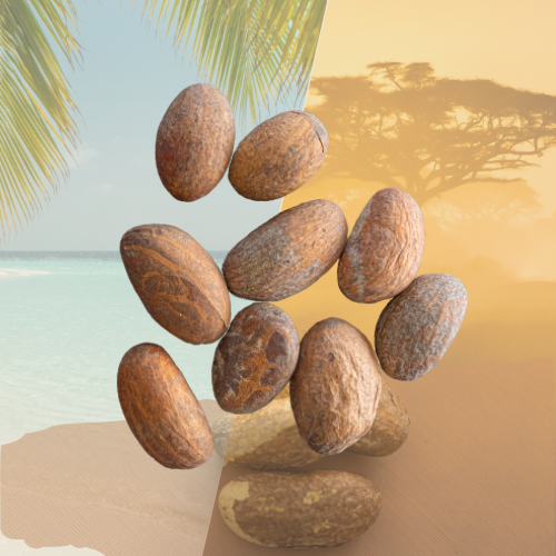 Petit Cola – Sachet de 5 pièces
