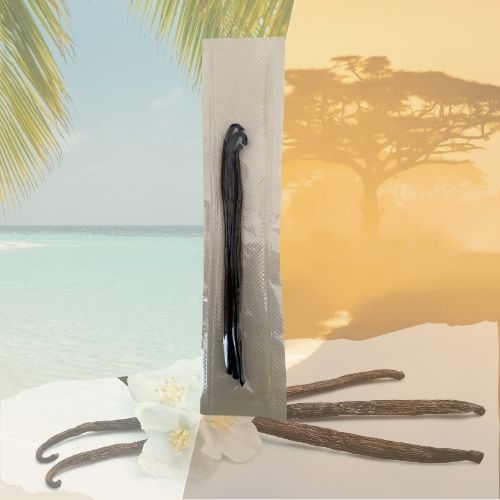 Gousses de vanille Sambava – Gourmet 16 cm (x3)