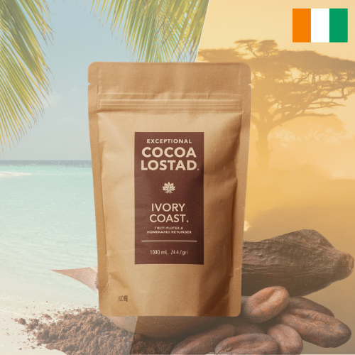Poudre de Cacao Pur 100% — Côte d'Ivoire | 100g - Épicerie africaine et exotique | SougouExpress