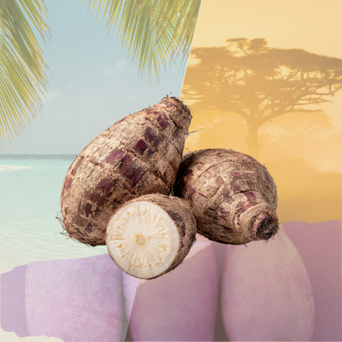 Taro — Racine de Madère | 500g