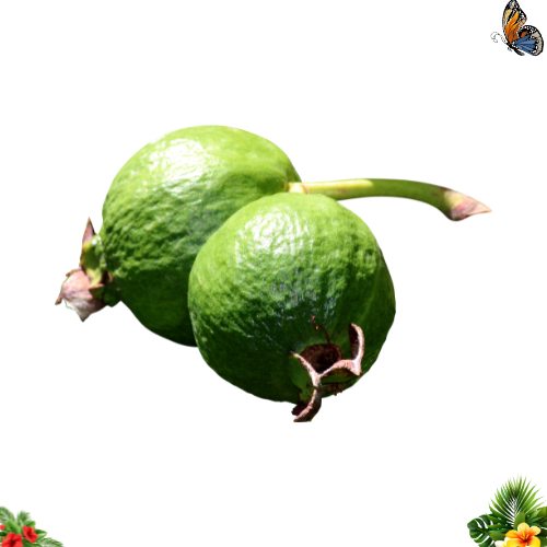 Goyave fraîche de Guadeloupe, lot de 500 g