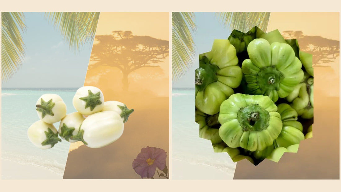 Aubergine africaine fraîche et aubergine djakatou verte présentées côte à côte