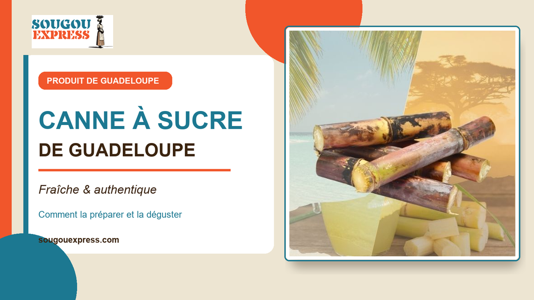 Tronçons de canne à sucre de Guadeloupe présentés sur un décor tropical, couverture Sougou Express