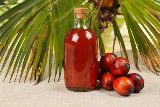 Huile de Palme et Huile Rouge – Bienfaits, Usages et Controverses