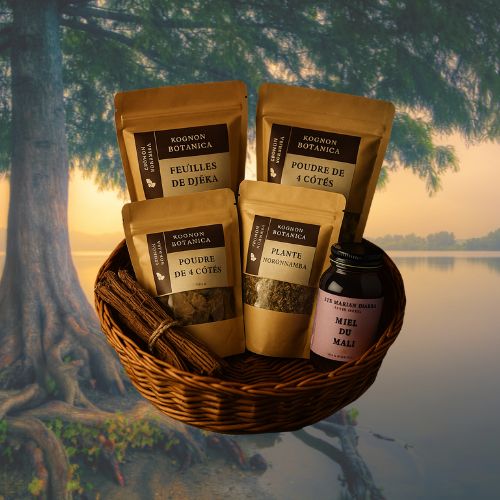 Kognon Botanica