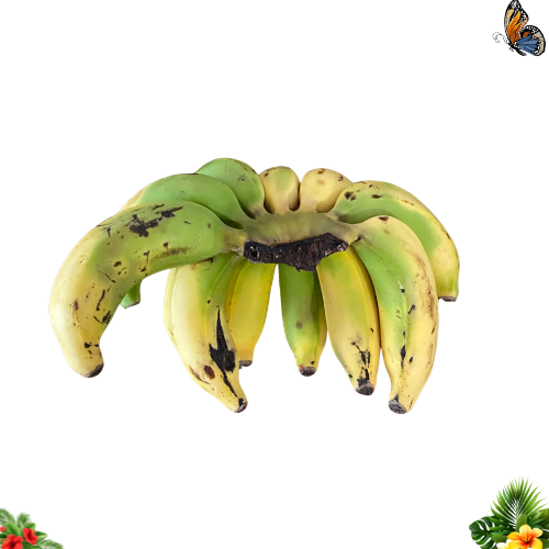 Banane Figue Pomme de Guadeloupe — 1 kg