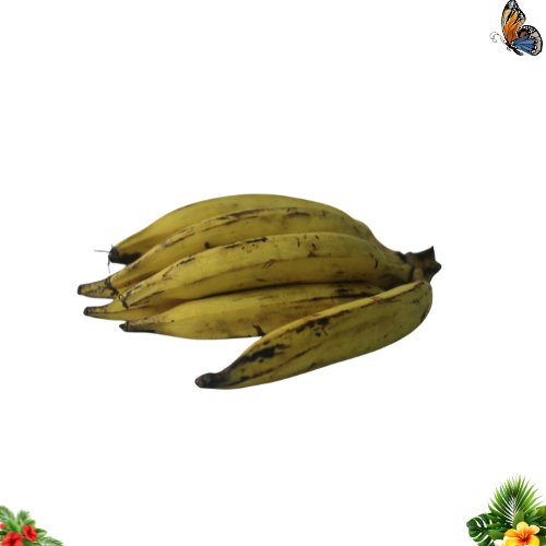 Banane Plantain de Guadeloupe — 1 kg