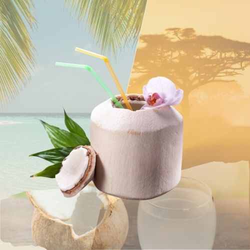 Eau de coco – Hydratation naturelle, goût frais
