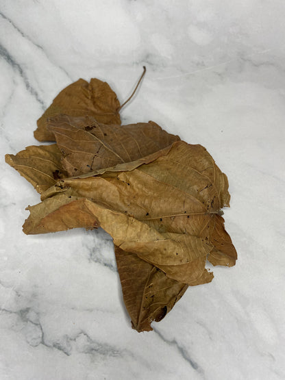 Feuilles de Djéka séchées – Tisane bien‑être 50 g - Sougou Express