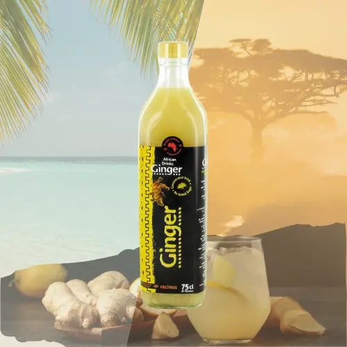 Jus concentré de gingembre – Racines 75 cl