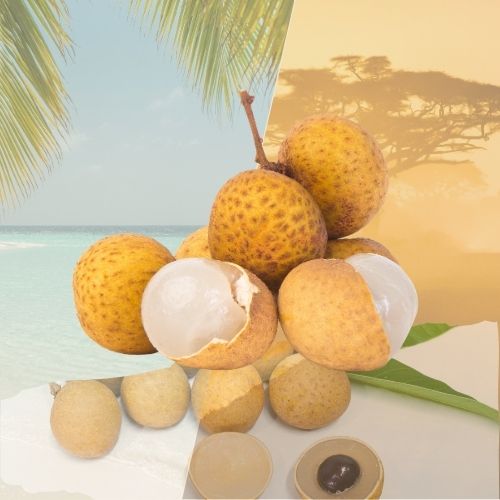 Longane 500 g – Fraîche, sucrée et prête à déguster
