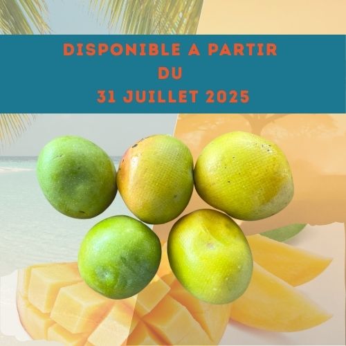 Mangues‑pomme de Guadeloupe – Lot de 5, chair sucrée
