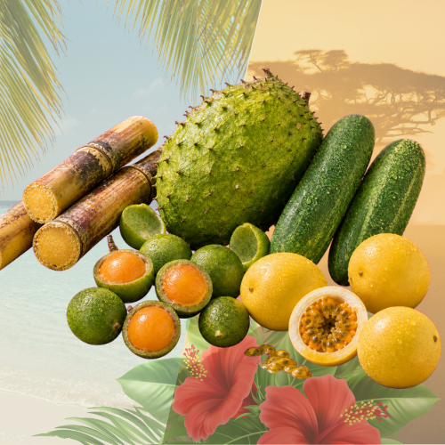 Box Fruits Peyi Découverte — Précommande — env. 4 kg