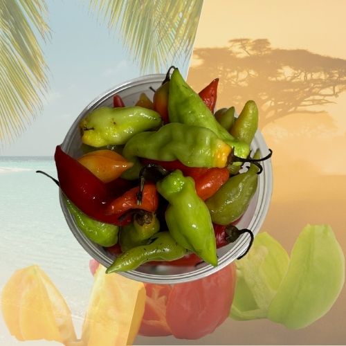 Piment végétarien de Guadeloupe – Doux & aromatique, cuisine créole