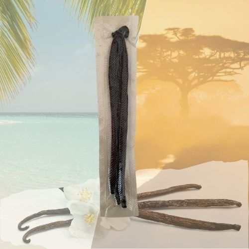 Gousses de vanille Sambava 20 cm (x3) – Gourmet, Madagascar