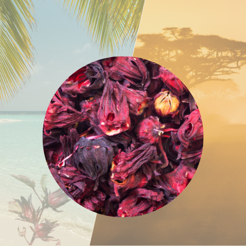 Feuilles de Bissap séchées – hibiscus premium 500 g