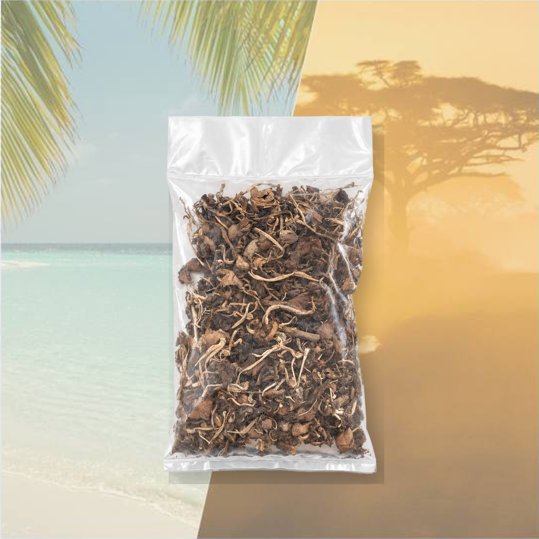 Champignon Djon Djon entier séché d’Haïti en sachet transparent de 100 g