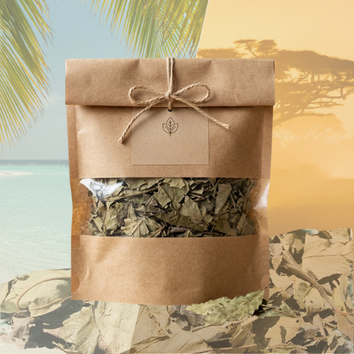 Kinkeliba – Tisane Détox d'Afrique de l'Ouest - Épicerie africaine et exotique | SougouExpress