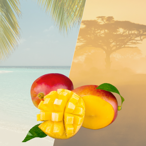 Mangue / Pièce - Sougou Express