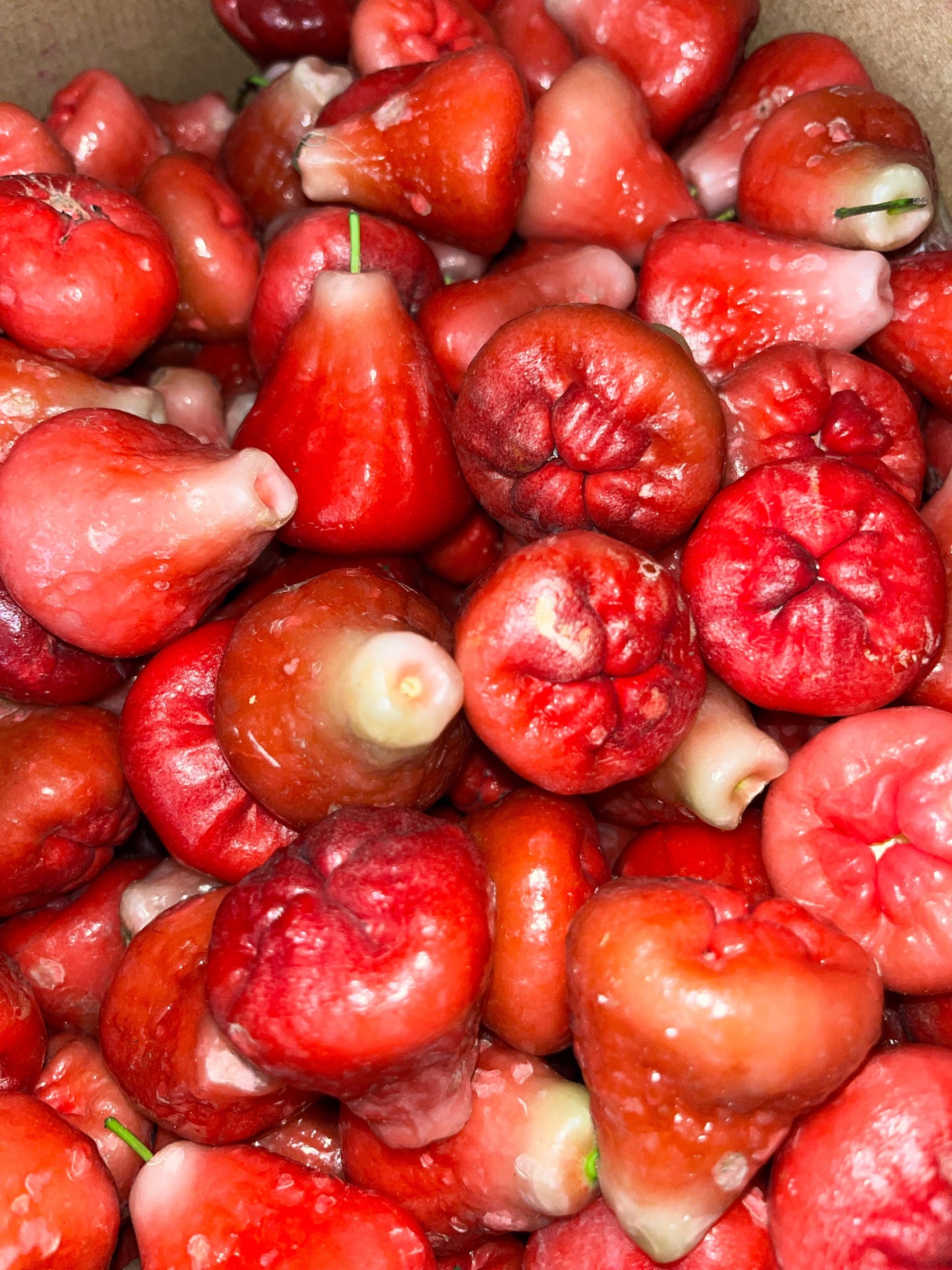 Malaka de Guadeloupe — 500g